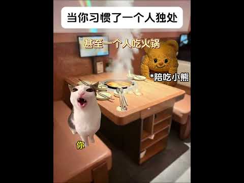 当你习惯了一个人独处有趣 猫meme 猫meme剧场 猫meme小剧场 内容过于真实  故事 貓 猫猫meme小剧场… サムネイル