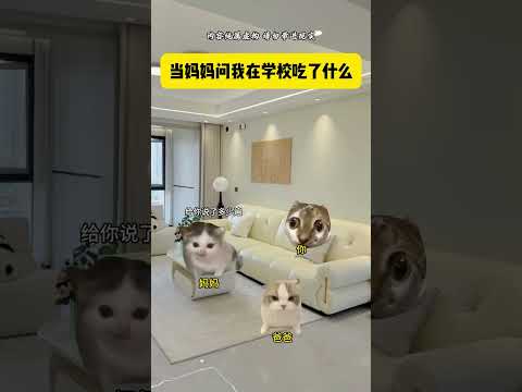 当妈妈问我在学校吃了什么 有趣 猫meme 猫meme剧场 猫meme小剧场 内容过于真实  故事 貓 猫猫meme小…