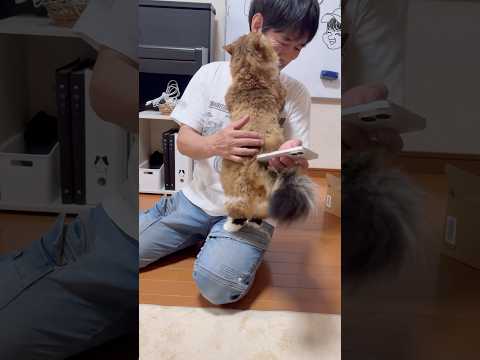 お父さん、大好きです