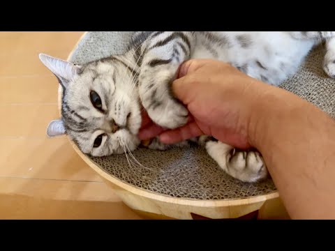 あい『離さないわよ...』 サムネイル