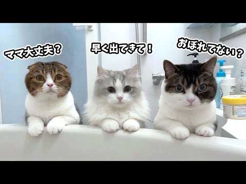 ママが久しぶりに長風呂していたら猫が心配してこうなった…w サムネイル