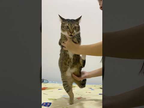 why different サムネイル