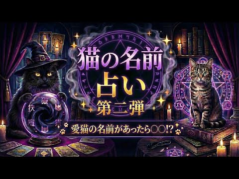 【愛猫の名前占い⁉︎】“猫の名前運勢チェック”~第2弾~ サムネイル