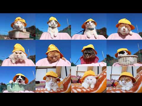 一年生？黄色帽子 2026　260405 サムネイル