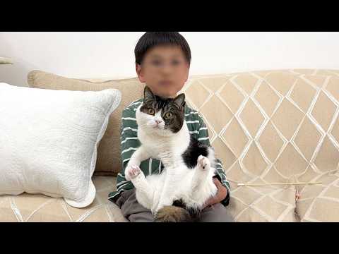 猫に触れたことがない子どもが一瞬でメロメロになった瞬間がこちら！ サムネイル