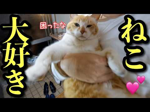 猫嫌いだった父に変化が起きました サムネイル