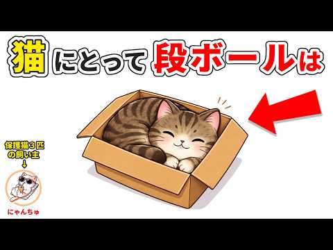 猫が段ボール箱を愛しすぎる理由、人間はまだ知らない  猫 雑学 猫雑学 猫と段ボール サムネイル