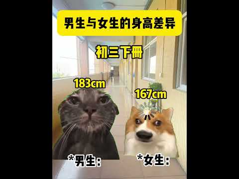 男生与女生的身高差 有趣 猫meme 猫meme剧场 猫meme小剧场 内容过于真实  故事 貓 猫猫meme小剧场… サムネイル