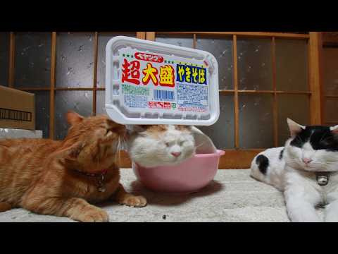 うずまきLIVE配信？　放置？　朝まで？　2026年5月24日