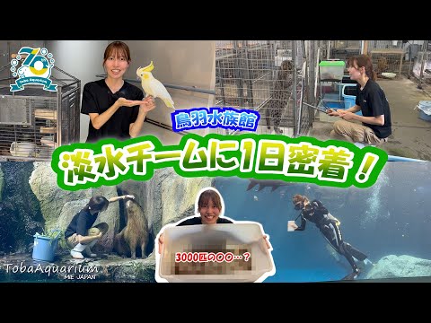 《鳥羽水族館 開館70周年記念動画》飼育係に1日密着！～淡水チーム編～ サムネイル