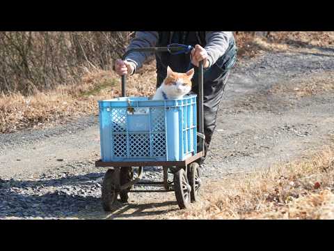 手押し車のちろもふさんぽ　260409 サムネイル