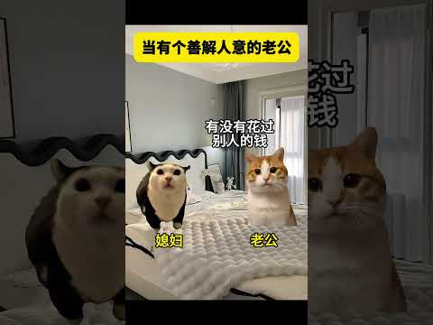 当有个善解人意的老公 有趣 猫meme 猫meme剧场 猫meme小剧场 内容过于真实  故事 貓 猫猫meme小剧场… サムネイル