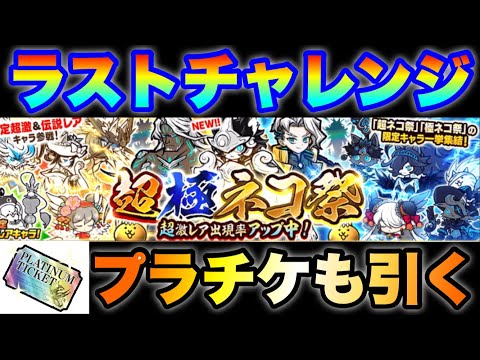 超極ネコ祭ガチャラストチャレンジ！プラチケも回して新限定ルーノを狙う！　にゃんこ大戦争　battlecats　【オレン…