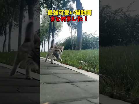 最強だああああ♥ サムネイル