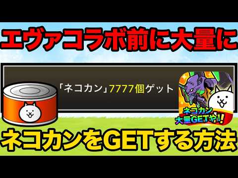 エヴァンゲリオンコラボ前にネコカンを7777個ゲットする方法紹介！大量のネコカンでエヴァキャラを当てまくれ！にゃんこ大… サムネイル