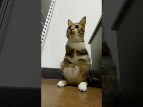 内裤烂咯 サムネイル