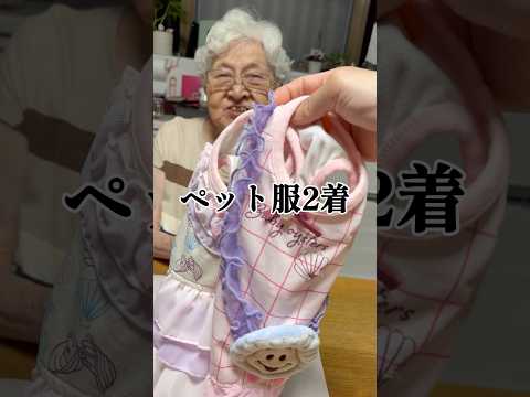 元高島屋店員の幾子さんがお包みするペット服 サムネイル