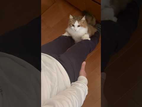 このズボン滑るわぁ