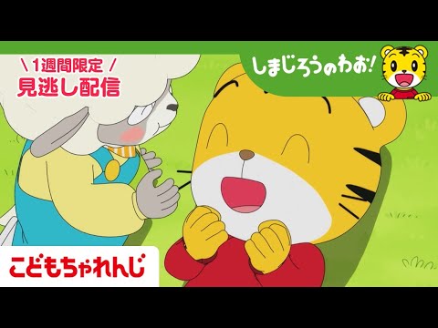 【見逃し配信】テレビ番組「しまじろうのわお！」 1月10日放送 ｜あかちゃんに なりたい｜706【しまじろうチャンネル… サムネイル