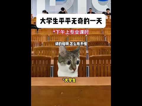 大学生的一天belike 有趣 猫meme 猫meme剧场 猫meme小剧场 内容过于真实  故事 貓 猫猫meme小…