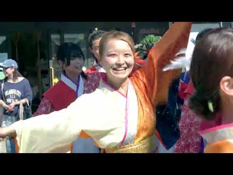 総踊り①・どっこいしょ＠2026　陣屋通り商店会一周年祭 サムネイル