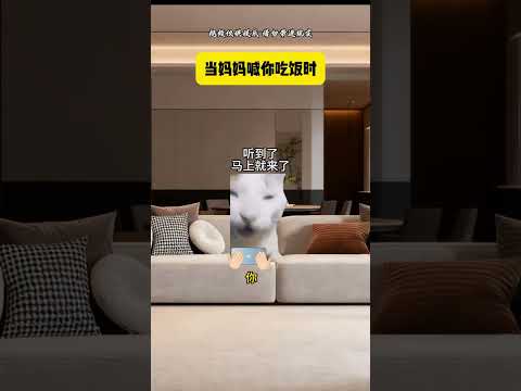 当妈妈喊你吃饭时  有趣 猫meme 猫meme剧场 猫meme小剧场 内容过于真实  故事 貓 猫猫meme小剧场… サムネイル