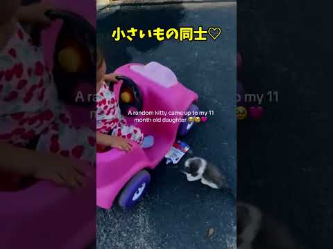 ん？今なんか言った？🤫