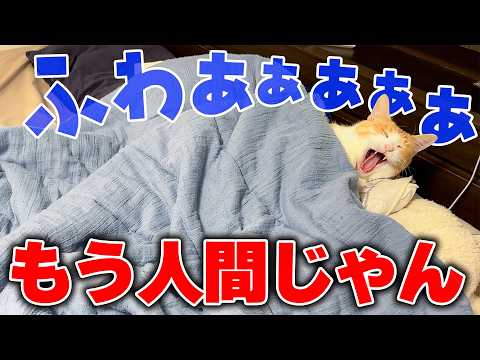 【発覚】寝室に入ったらロビンが人間であることがバレました。 サムネイル
