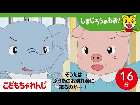 【16分アニメ】ずっと　ずっと　ともだちだよ│引っ越し│お別れ│友情│しまじろうのわお！アニメ│しまじろうチャンネル公式 サムネイル