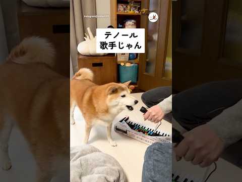 テノール歌手じゃん｜PECO サムネイル