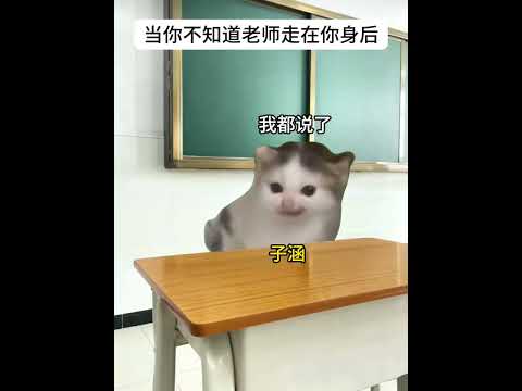 当你不知道老师走到你身后 有趣 猫meme 猫meme剧场 猫meme小剧场 内容过于真实  故事 貓 猫猫meme小… サムネイル