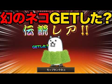 モップタンクネコをもうGETした！？99%が知らない正体不明の謎のキャラクター知ってる？今開催されてるステージの報酬が… サムネイル