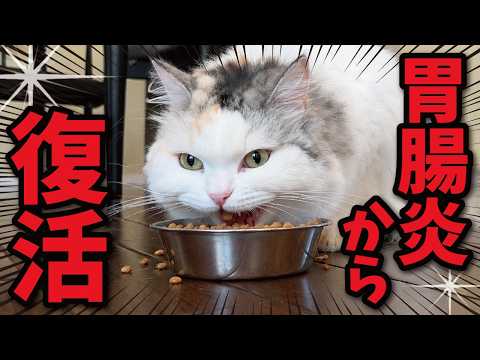 大変ご心配おかけしました！つくし完全復活しました！