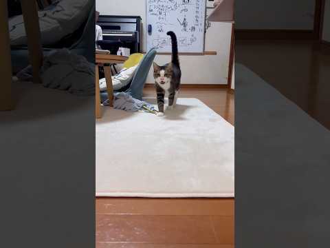 はい、よく来ました