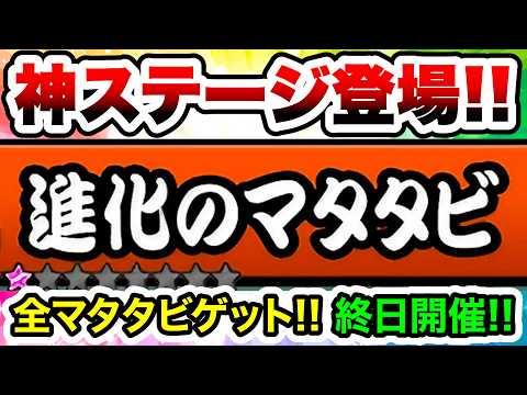 新ステージ『進化のマタタビ』登場！マタタビの周回が超絶ラクになりました！！　にゃんこ大戦争 サムネイル