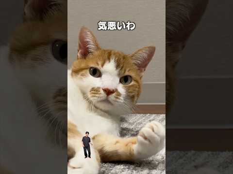 アルバム7曲目『すぐコロコロすんの気悪いわ』|フルはApple Musicほか音楽アプリへ