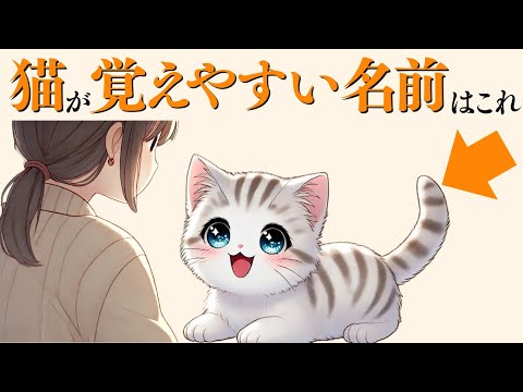 話題の猫名付け術！愛猫にぴったりの名前を見つけよう