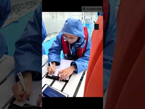 2025年最後のスナメリ調査 shots  名古屋港水族館 サムネイル