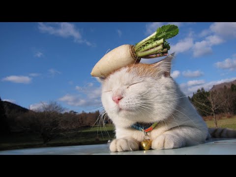 うずまきLIVE配信？　放置？　朝まで？　2025年12月28日