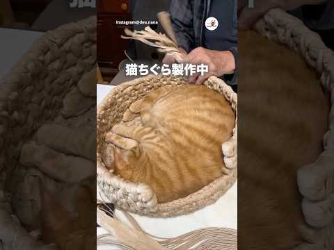 オーダーメイドだったハズの猫ちぐら｜PECO