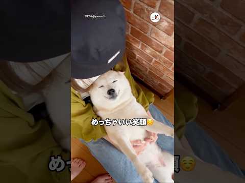 お姉ちゃんが帰ってきてニッコニコ☺️｜PECO サムネイル