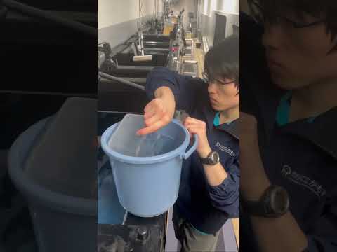 クラゲの引越し shorts 加茂水族館 kamoaquarium aquarium jellyfish クラゲ 水族… サムネイル