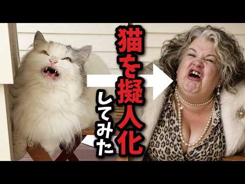 猫をAIで擬人化してみた結果がこちら サムネイル