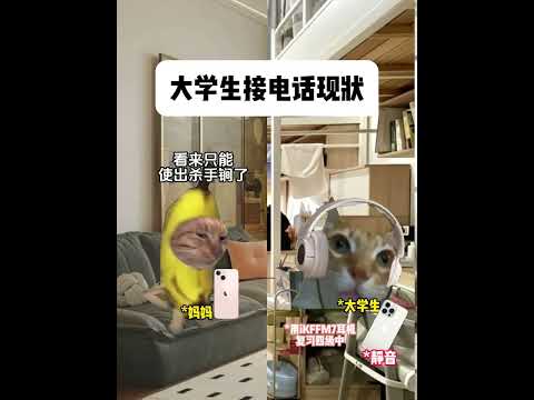 大学生接电话现状 有趣 猫meme 猫meme剧场 猫meme小剧场 内容过于真实  故事 貓 猫猫meme小剧场 喵… サムネイル