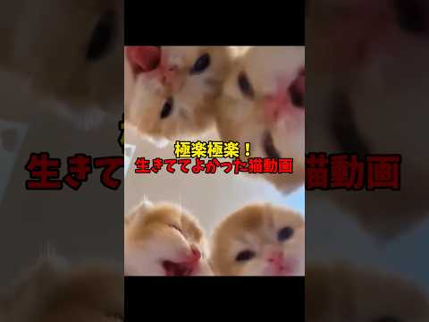 BGM刷新につき、期間限定で復刻です🎉 サムネイル