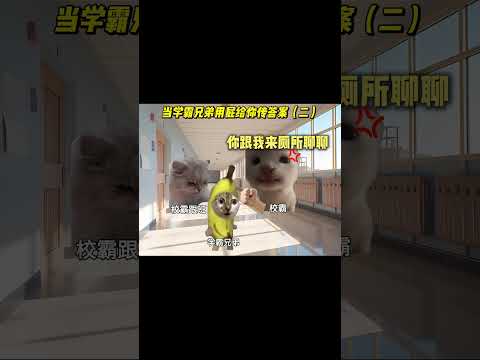 当学霸兄弟用屁给你传答案2有趣 猫meme 猫meme剧场 猫meme小剧场 内容过于真实  故事 貓 猫猫meme小…