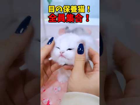 目が…潤う〜😭 サムネイル