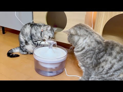 秘奥義伝授の儀