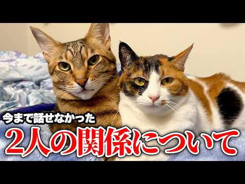 今まで話せなかった、ティガーとベルの関係について。