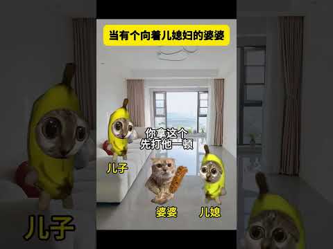 当有个向着儿媳妇的婆婆 有趣 猫meme 猫meme剧场 猫meme小剧场 内容过于真实  故事 貓 猫猫meme小剧…
